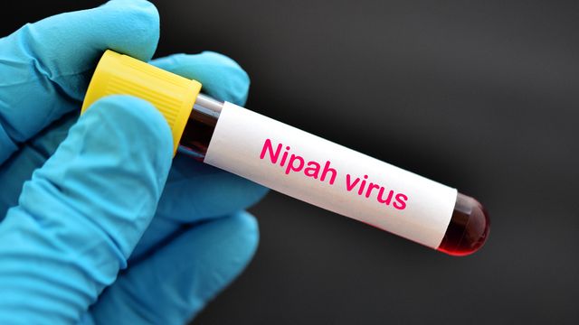 အိန္ဒိယတွင် နီပါးဗိုင်းရပ်စ် ဖြစ်ပွားမှုကြောင့် ထိုင်းနိုင်ငံက အထူးစောင့်ကြည့် သတိပေး