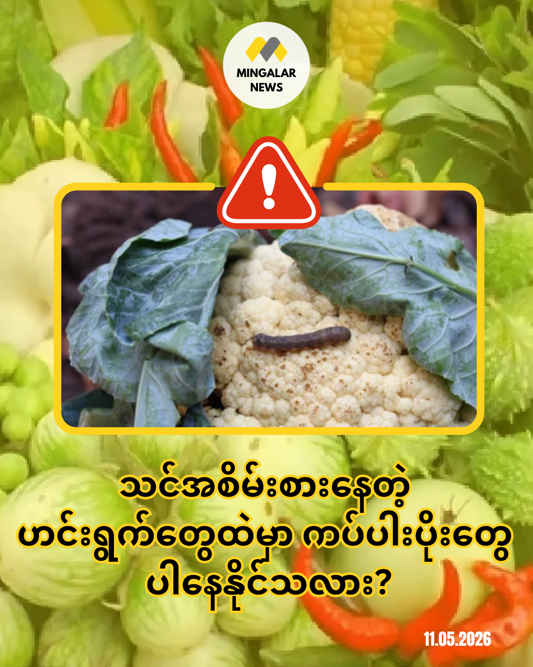 သင်အစိမ်းစားနေတဲ့ ဟင်းရွက်တွေထဲမှာ ကပ်ပါးပိုးတွေ ပါနေနိုင်သလား?